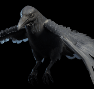 Conjured Raven