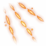Scorching Ray